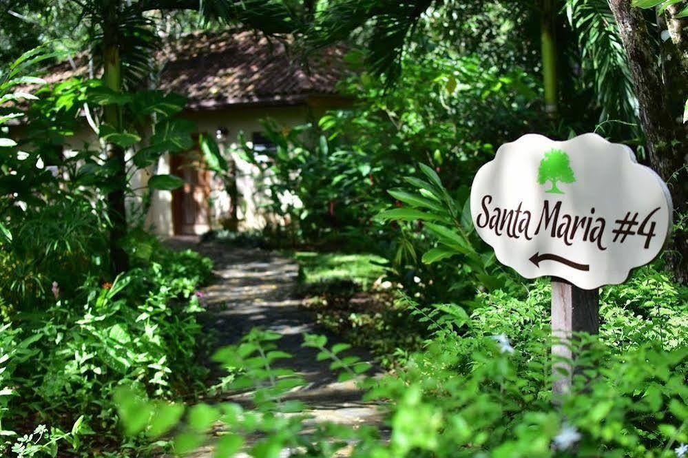 Mystic River Resort San Ignacio Bagian luar foto